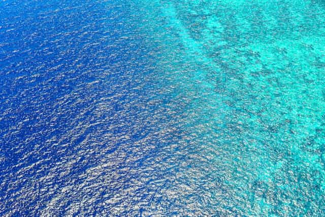 Blue Ocean Dream Meaning