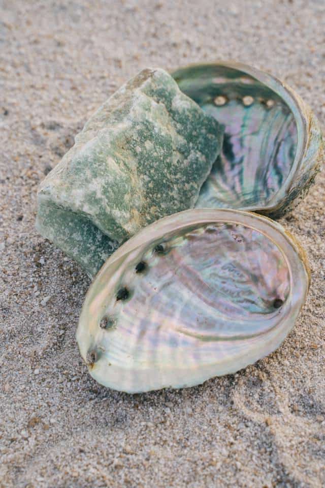 Clam Shell Dream Meaning