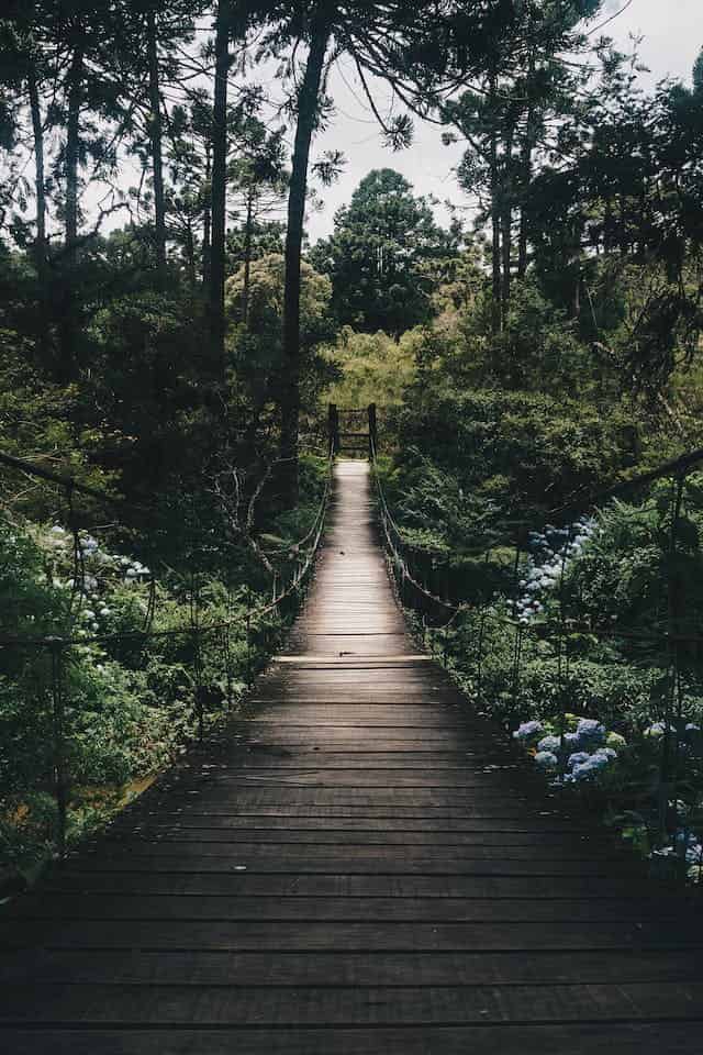 Crossing a Swinging Bridge Dream Meaning 