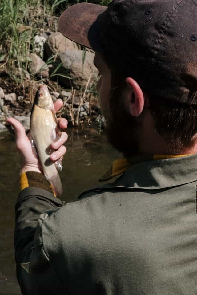 Dreaming Of Catching Fish in a River