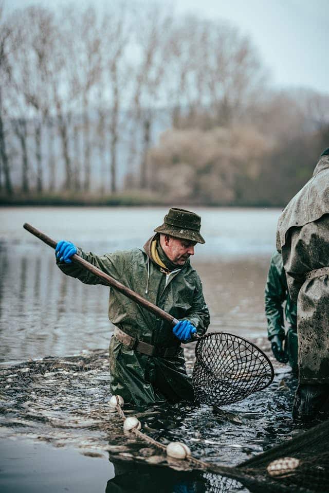 Dreaming of Catching Fish in Clear Water