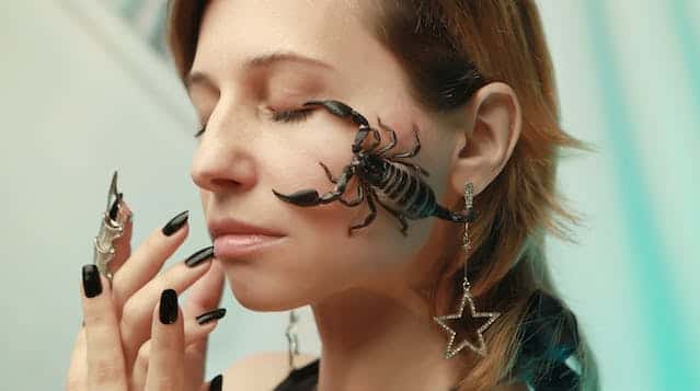 Scorpion Sting Dream Meaning