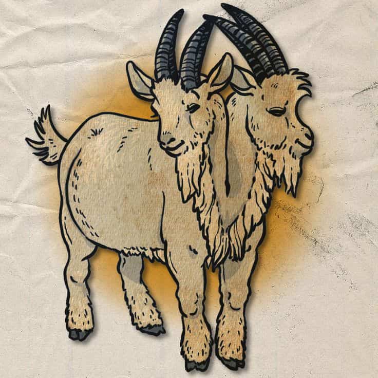 Two Headed Goat Dream Meaning