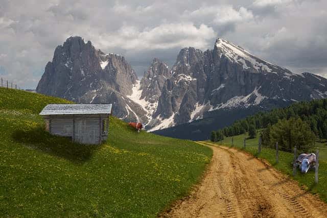 Village Road Dream Meaning