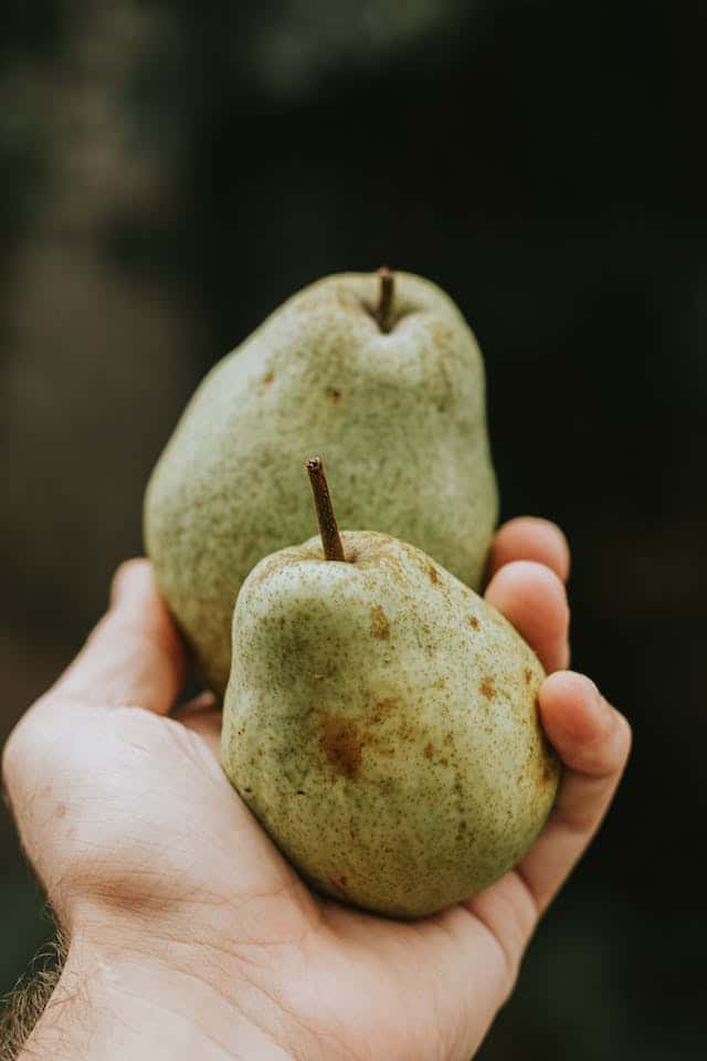 Eating Pears Dream Meaning 