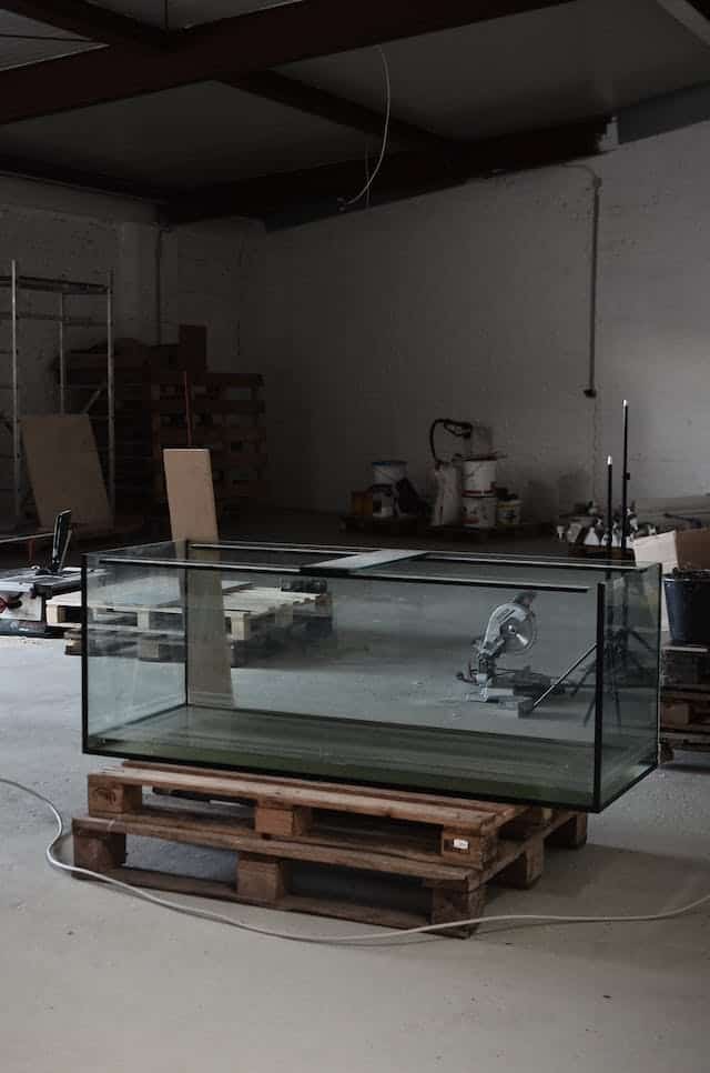 Empty Aquarium Dream Meaning 