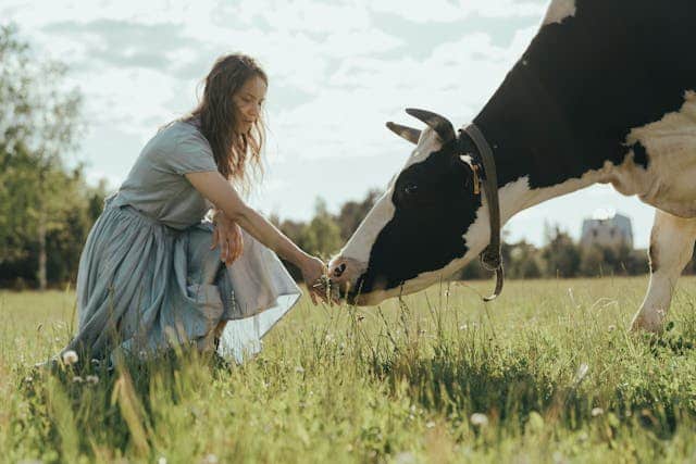 Feeding Cow Dream Meaning