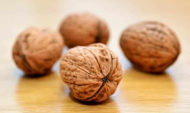 Picking Walnuts From The Ground Dream Meaning 