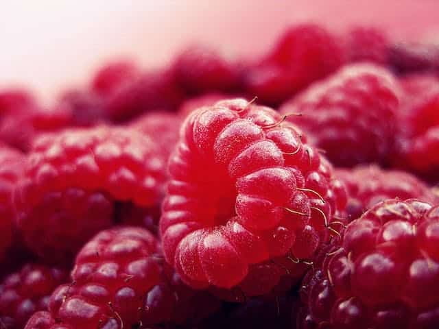 Raspberry Dream Meaning