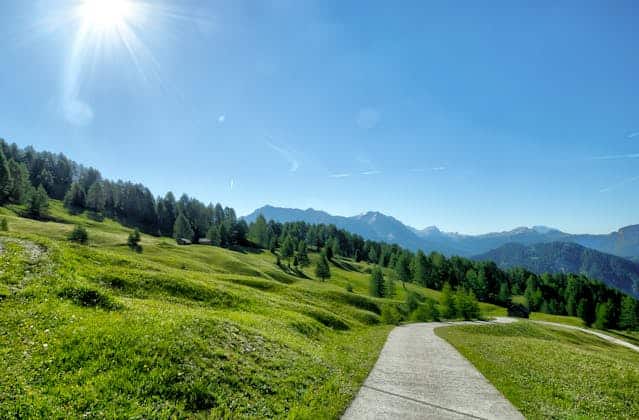 Walking In The Meadow Dream Meaning 