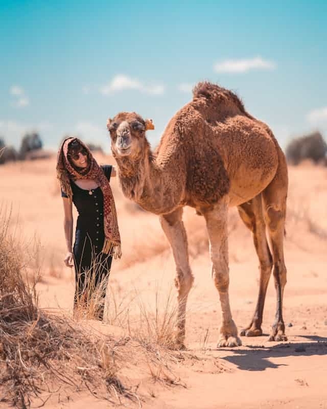 Camel Dream Meaning