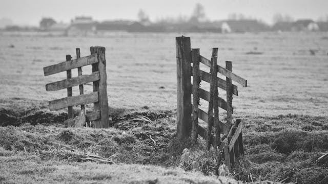 Crossing a Broken Bridge Dream Meaning