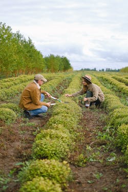 Farm Dream Meaning