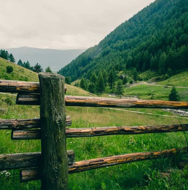 Wooden Fence Dream Meaning