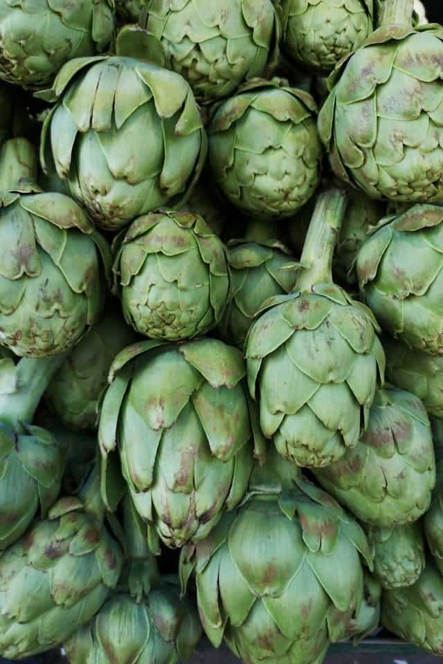 Artichoke Garden Dream Meaning