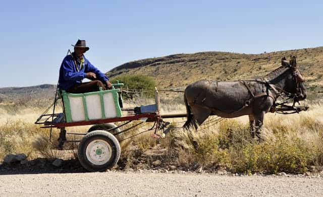 Donkey Cart Dream Meaning 