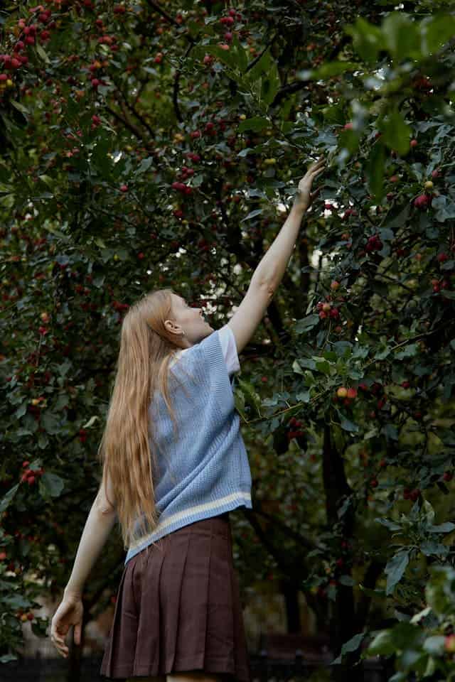 Plucking Apples From an Apple Tree Dream Meaning