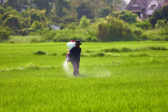 Spreading Manure Dream Meaning 