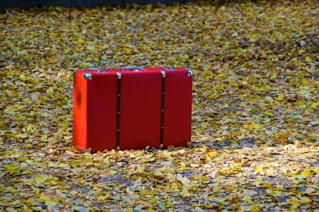 Red Suitcase Dream Meaning