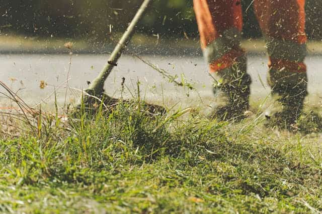 Mowing Grass Dream Meaning