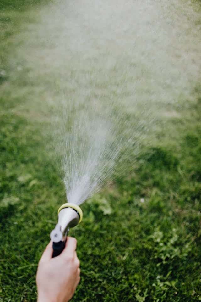 Watering Grass Dream Meaning