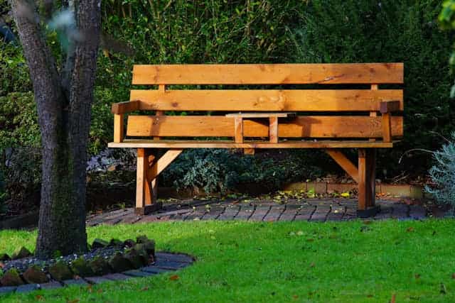 Wooden Bench Dream Meaning