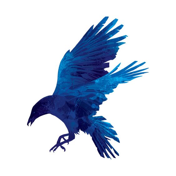 Blue Eagle Dream Meaning