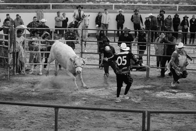 Chased by a Bull Dream Meaning