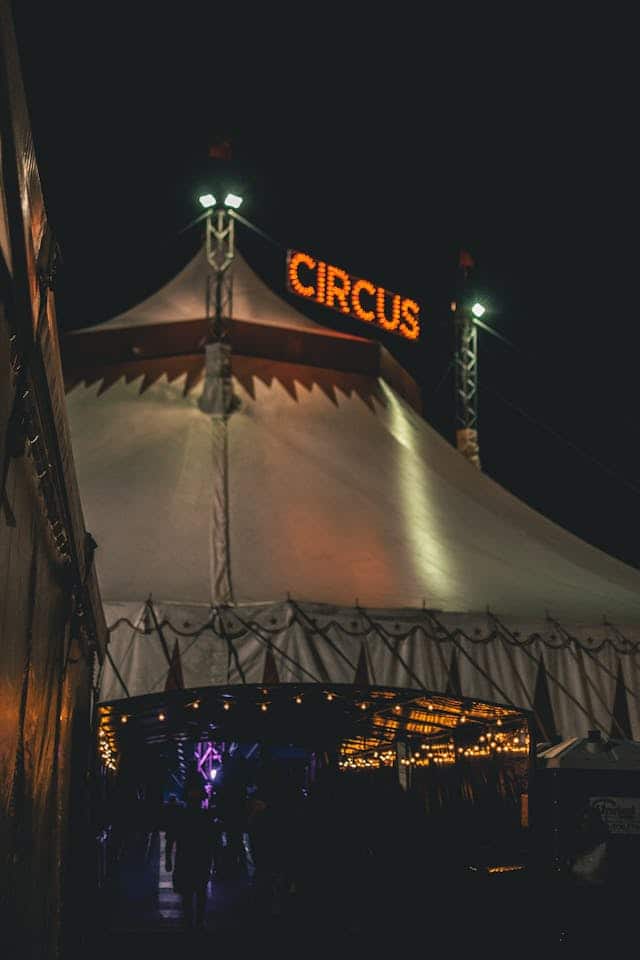 Circus Tent Dream Meaning