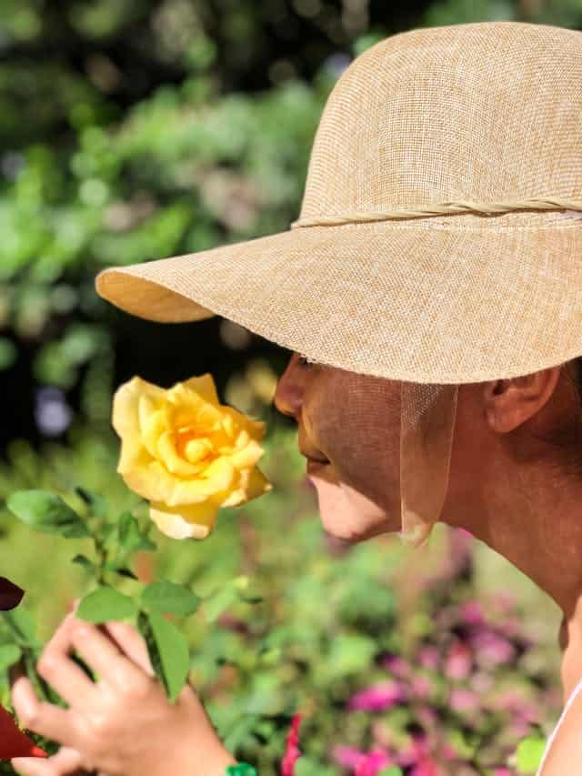 Flower Smell Dream Meaning