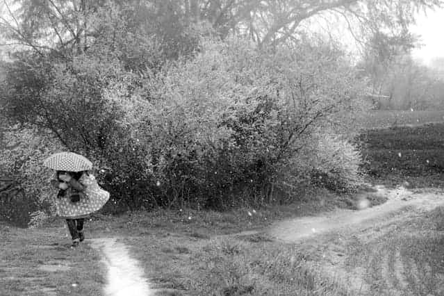 Hail Falling into The Garden Dream Meaning