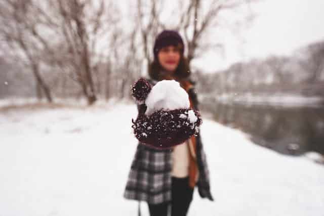 Snowball Fight Dream Meaning