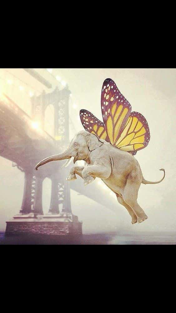 Flying Elephant Dream Meaning