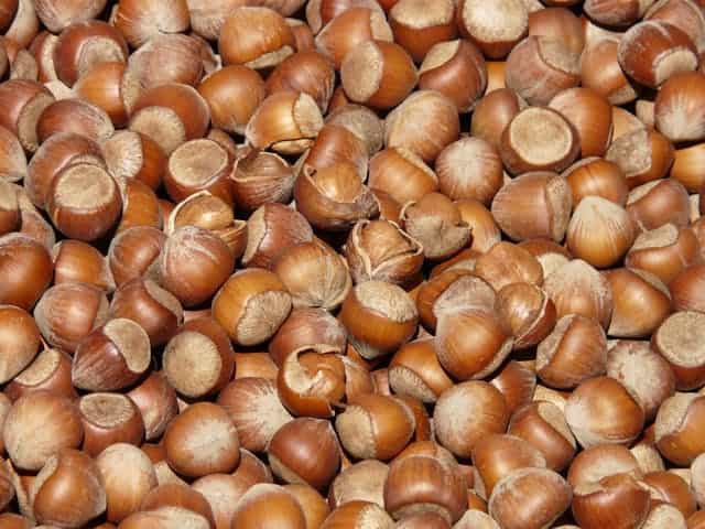 Hazelnut Shell Dream Meaning