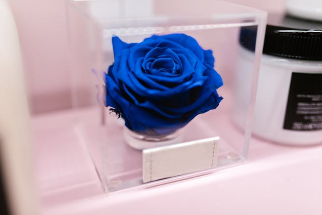 Blue Rose Dream Meaning