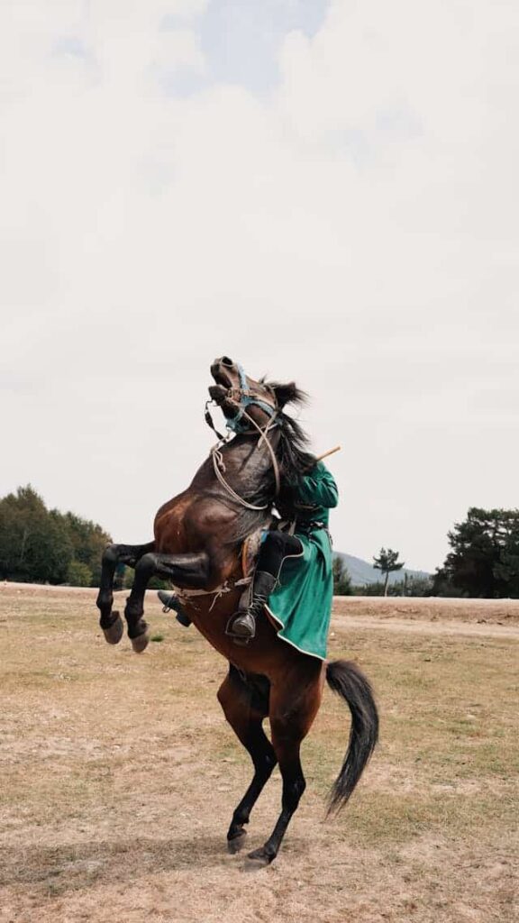 Demon Horse Dream Meaning