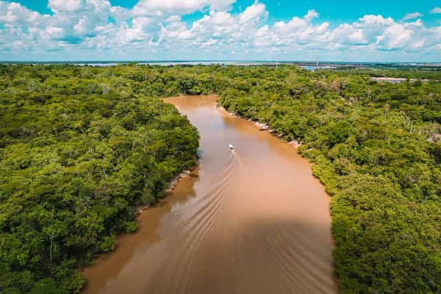 Muddy River Dream Meaning